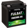 Batterie FULBAT FHD30HL-BS GEL  (Harley.D)  31,6Ah 430A