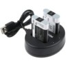 Batterie pour Canon VIXIA Mini X