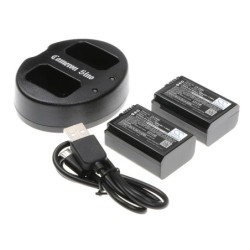 Batterie pour Sony Alpha 55