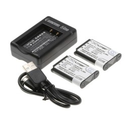 Batterie pour Sony HDR-AS100V