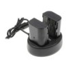 Batterie pour Panasonic DMW-BLF19PP