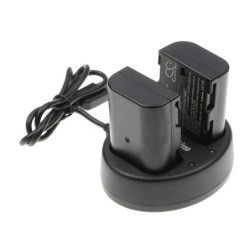 Batterie pour Panasonic DMW-BTC10