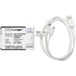 Batterie pour LG Max