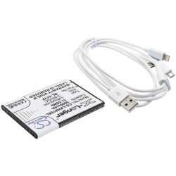 Batterie pour LG P1s