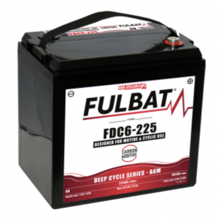 Batterie FULBAT FDC6-225 225Ah 6V