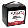 Batterie FULBAT FDC6-225 225Ah 6V