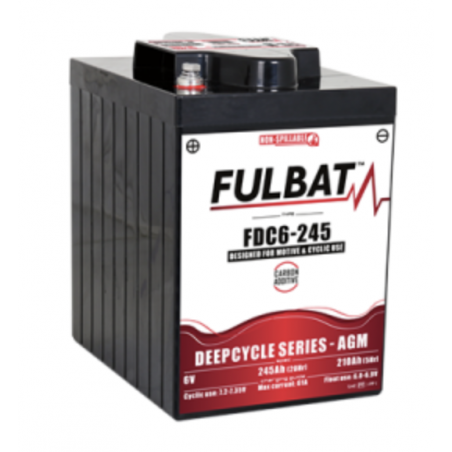 Batterie FULBAT FDC6-245 245Ah 6V