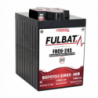 Batterie FULBAT FDC6-245 245Ah 6V