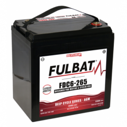 Batterie FULBAT FDC6-265 268Ah 6V