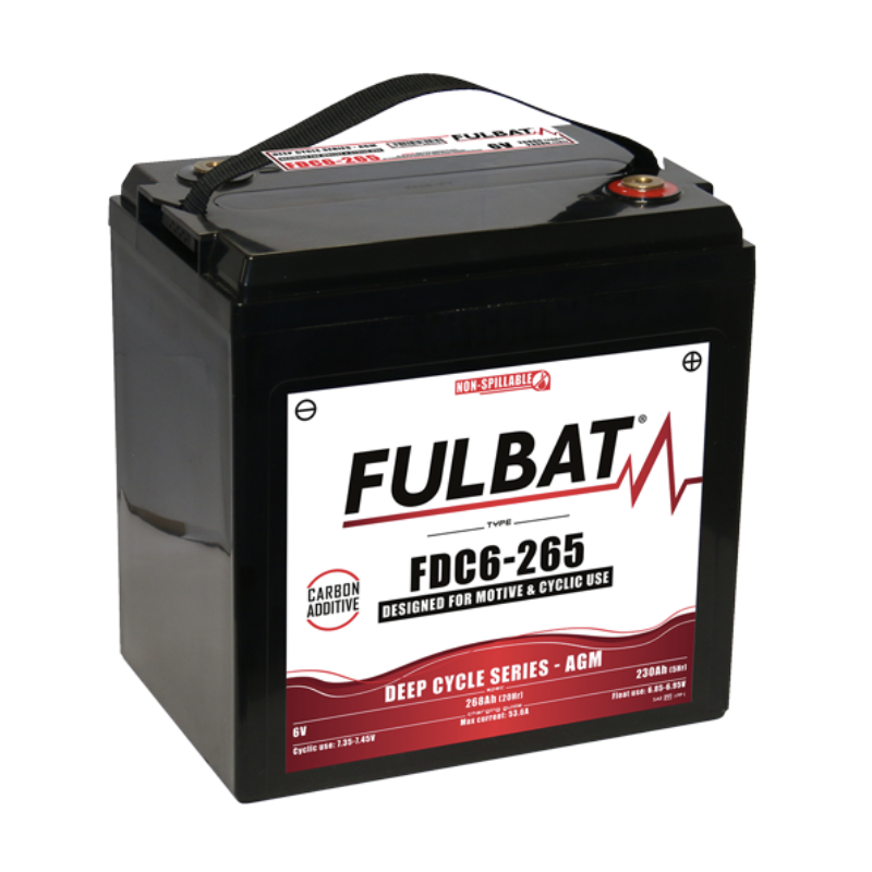 Batterie FULBAT FDC6-265 268Ah 6V
