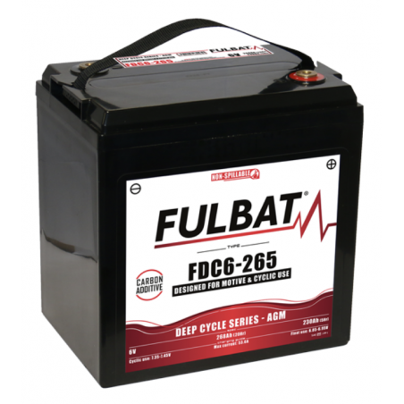 Batterie FULBAT FDC6-265 268Ah 6V