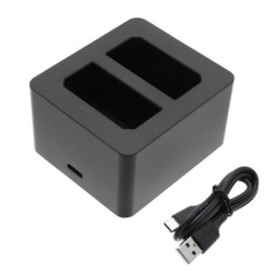 Chargeur pour Leica LC-SCL5