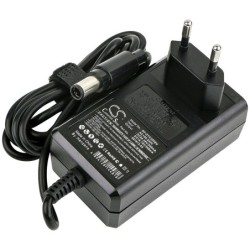 Chargeur pour Dyson DC45
